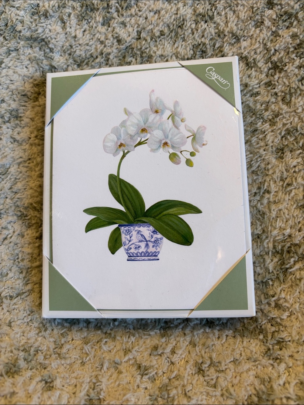 Caspari White Potted Orchid Tropical Note Cards Set of 10 NWT Boxed